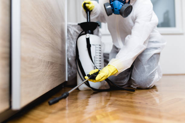 Pest Control Cost in Hampton, IL