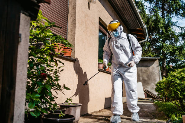 Best Pest Inspection Near Me  in Hampton, IL