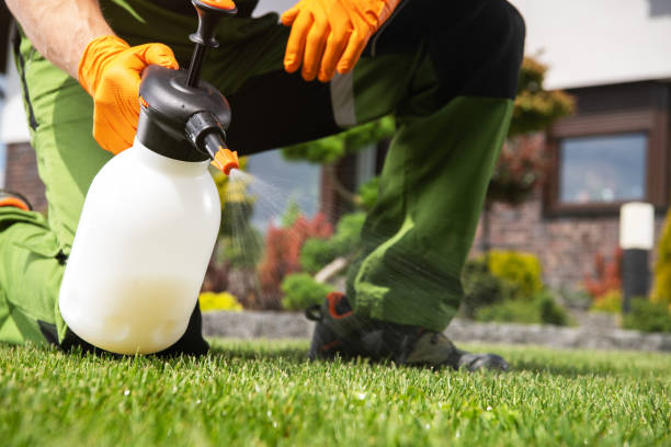 Best Best Pest Control Companies  in Hampton, IL