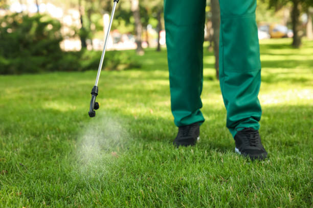 Best Bed Bug Extermination  in Hampton, IL