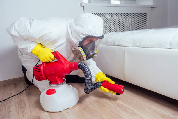 Best Mosquito Control Services  in Hampton, IL