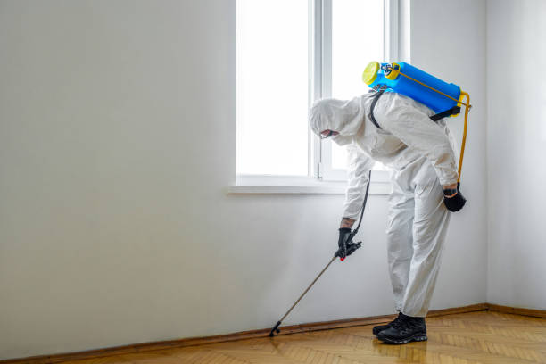  Hampton, IL Pest Control Pros