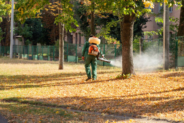 Best Pest Inspection Near Me  in Hampton, IL
