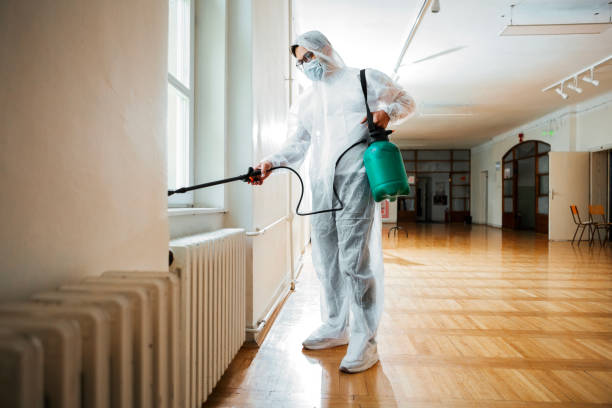 Best Pest Prevention Services  in Hampton, IL