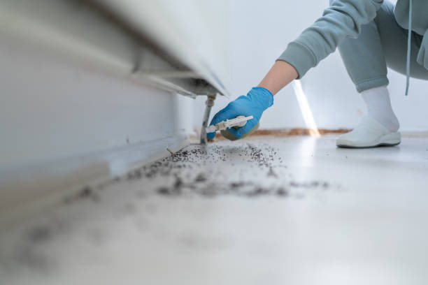 Best Commercial Pest Control Services  in Hampton, IL