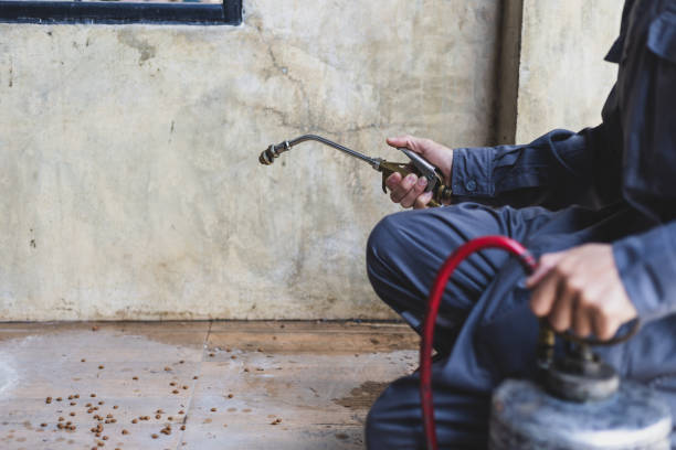 Best Wasp Removal Services  in Hampton, IL